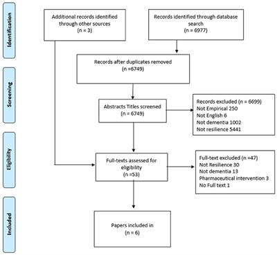 Fostering the Resilience of People With Dementia: A <mark class="highlighted">Narrative Literature Review</mark>